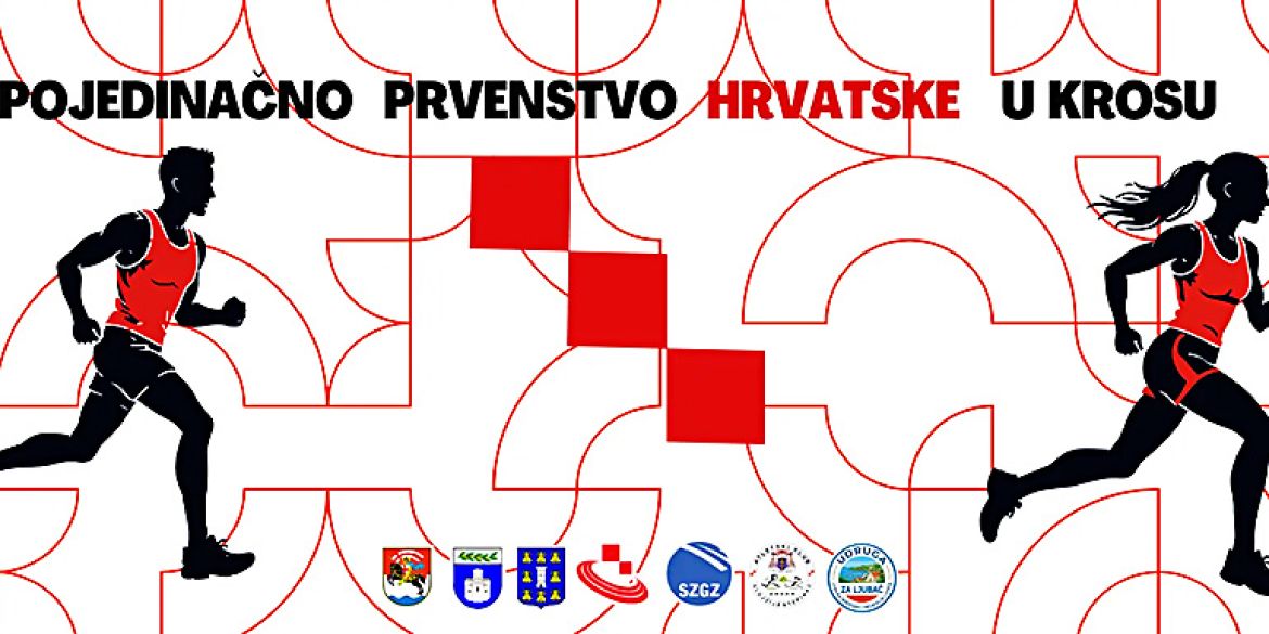 Organizacijski vizual