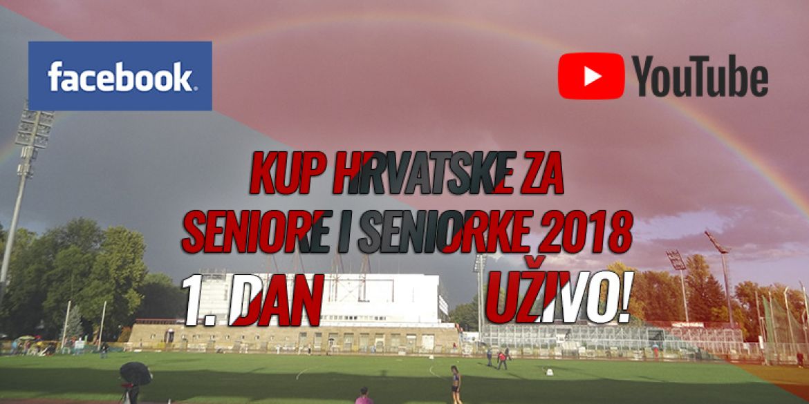 Vizual