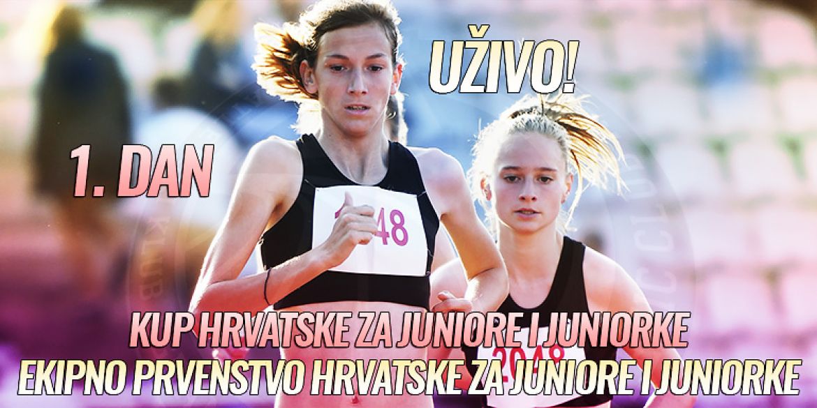 Vizual