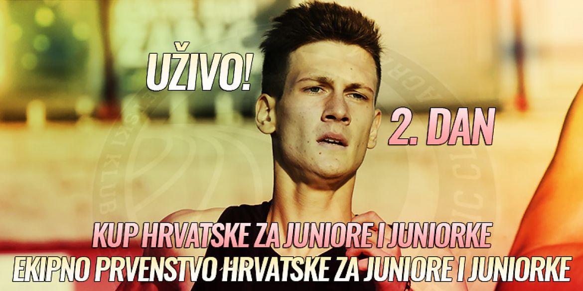 Vizual
